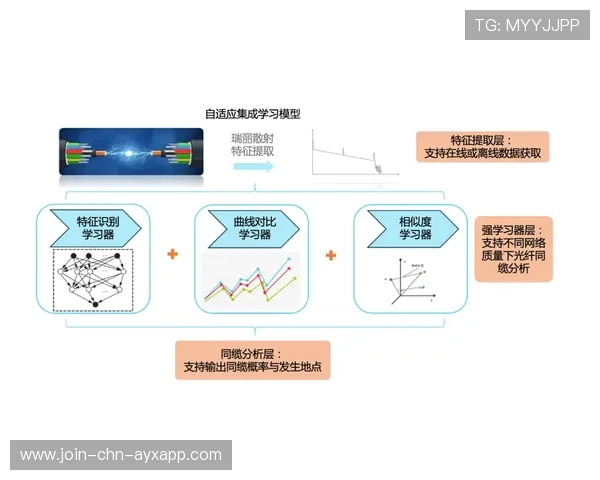 运动康复与AI诊断结合实现早期风险识别 运动康复与AI诊断结合实现早期风险识别