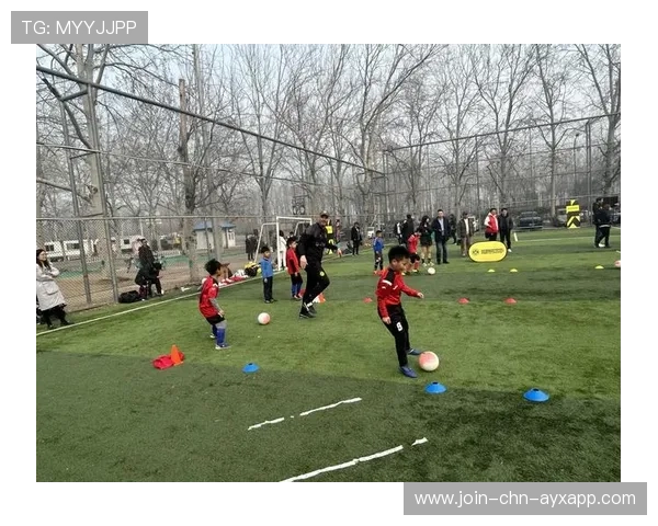 多特在主场通过组织配合拿到关键积分——战术执行与团队协作的胜利